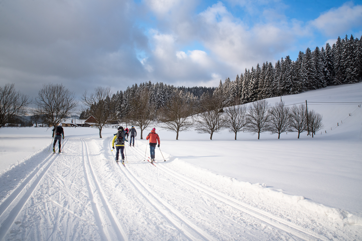 B̎ECK� TRAT� - VELK� KARLOVICE - JAVORN�KY
