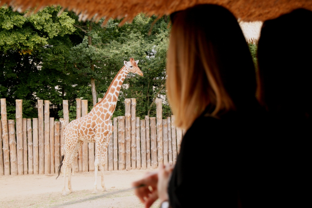 ZOO BRNO