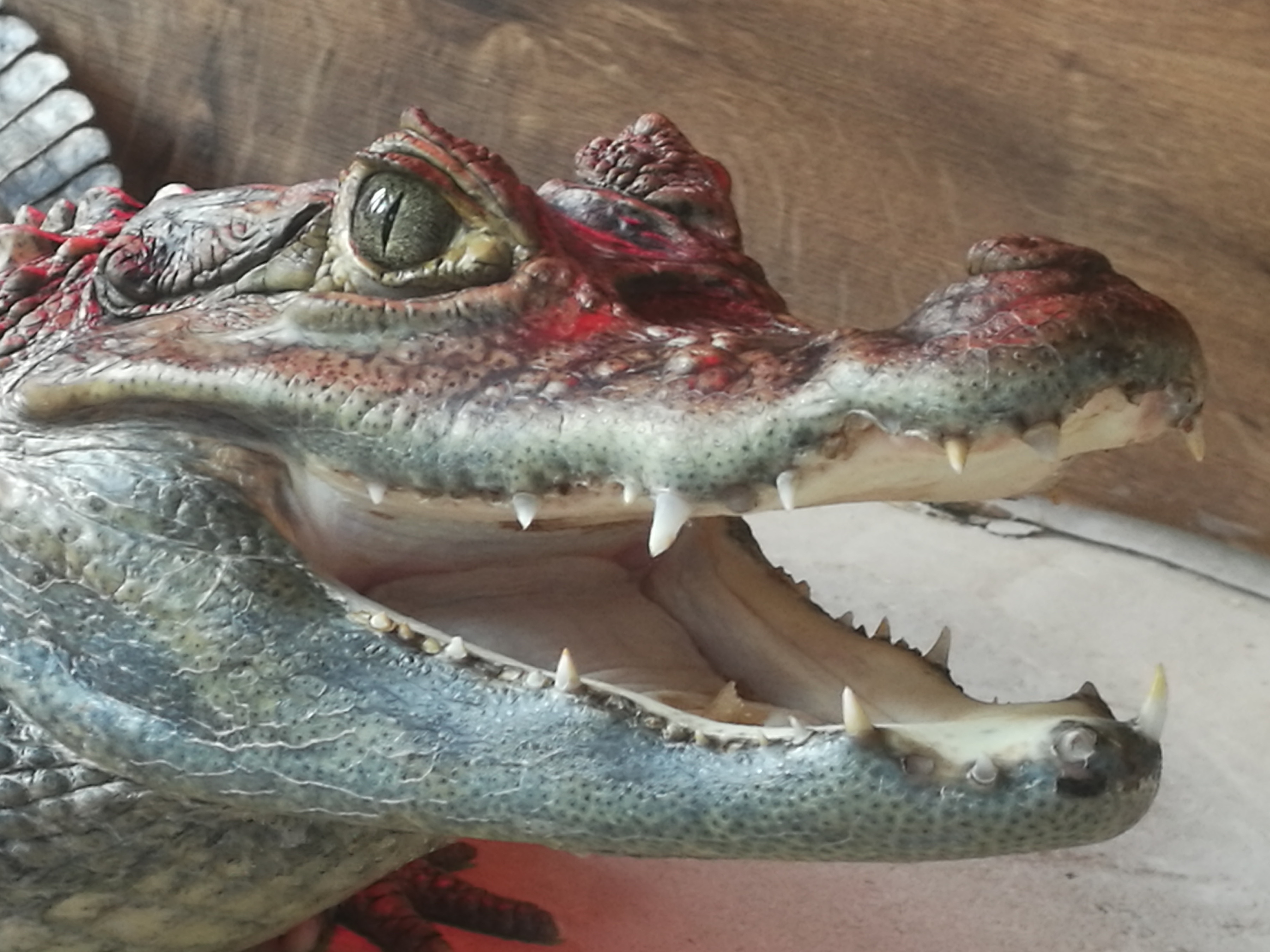 VODNÍ MINIZOO BAŠKA VODA CZ