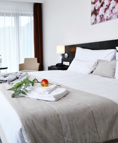 WELLNESS HOTEL VISTA DOLN MORAVA