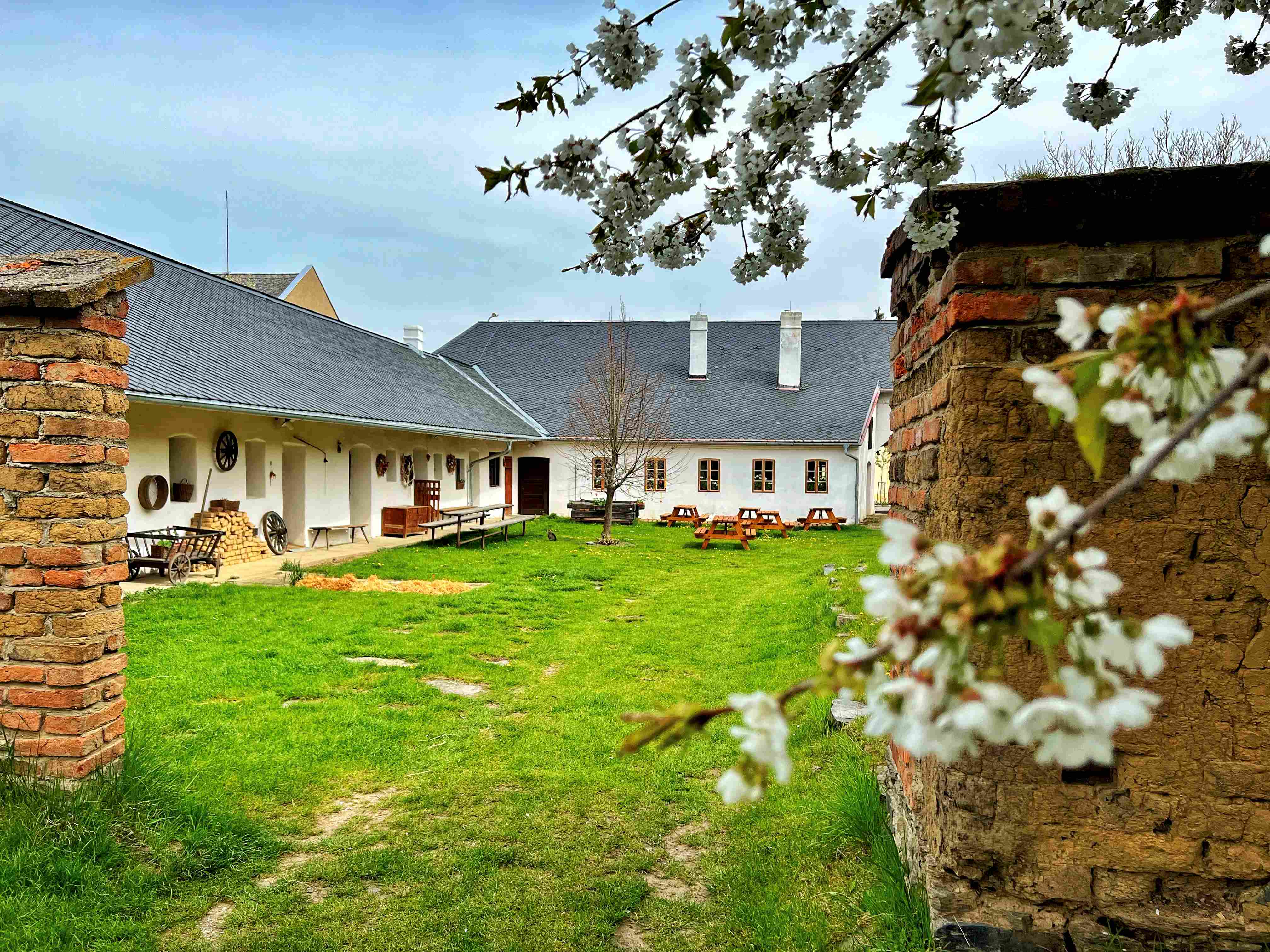 HANCK MUZEUM V PROD PKAZY