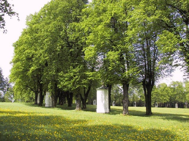 Mariánská hora