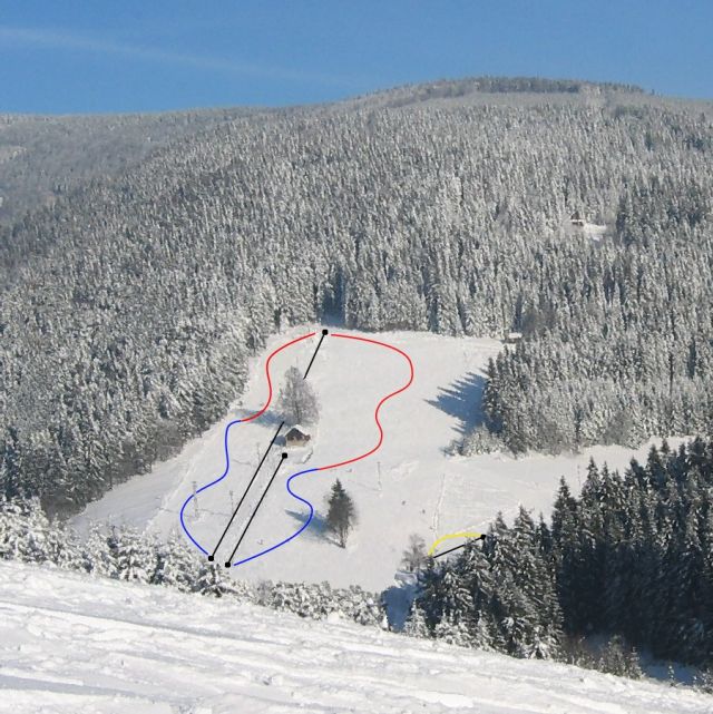 SKI AREL ZLATNK