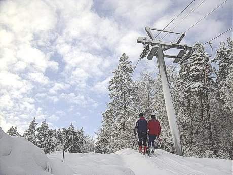 LYOVN ZA DOMEM PALKOVICE