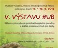V. v�stava hub