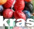Kraslice 2015