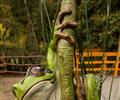 V zoo byla otevena uniktn expozice mokadnho ekosystmu