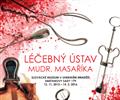 L��ebn� �stav MUDr. Masa��ka
