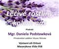 L��iv� rostliny kolem n�s