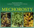 Mechorosty - Latim�rie mezi rostlinami