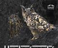 Hradoz�meck� noc v s�dle Sen�tu\