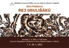 Nina Pl�kov�: Rej Gruli��k�