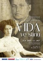 VIDA ve st�nu